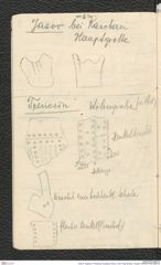 Seite 8, Tagebuch "Pressburg | Budapest | Brünn | Cilli | Prag, Breslau, Troppau" (NHMW-PRAE-BBB-44)